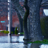 Flooded-Streets-keyimage.jpg