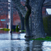 Flooded-Streets-keyimage2.jpg
